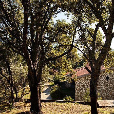 Quinta Dos Sincais Bed & Breakfast Guarda Exterior foto